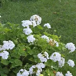 6745c